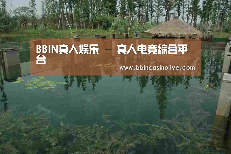 案例展示二(图1)