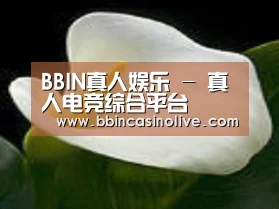 产品名称七