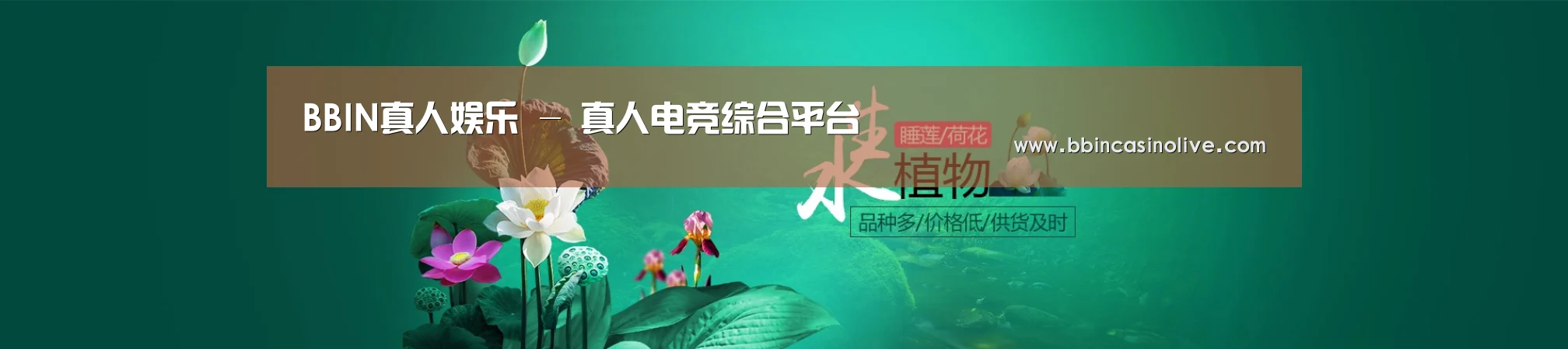 鲜花水草花卉网站模板