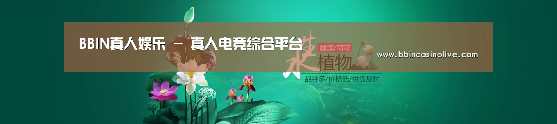 鲜花水草花卉网站模板