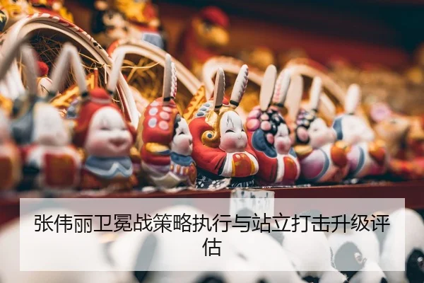 zhang-wei-li-wei-mian-zhan-ce-lve-zhi-xing-yu-zhan-li-da-ji-sheng-ji-ping-gu-3-431.jpg
