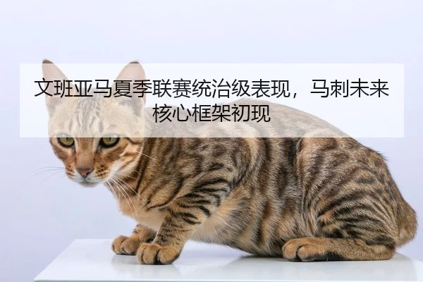 文班亚马夏季联赛统治级表现，马刺未来核心框架初现