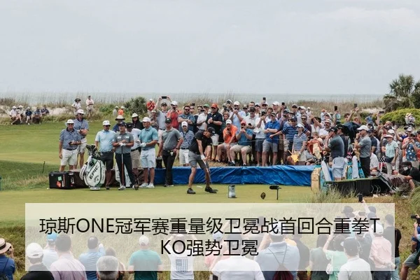 琼斯ONE冠军赛重量级卫冕战首回合重拳TKO强势卫冕