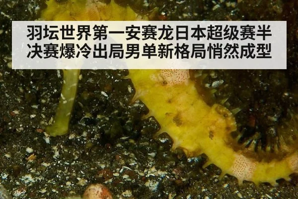 羽坛世界第一安赛龙日本超级赛半决赛爆冷出局男单新格局悄然成型