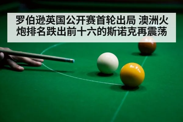 snooker cue close up