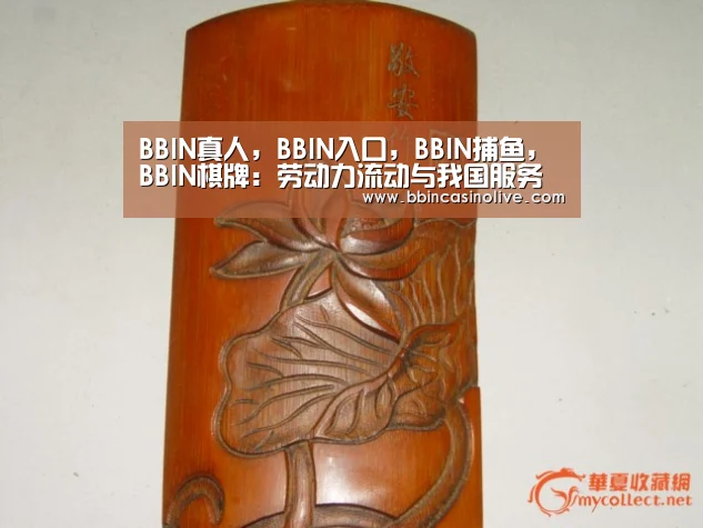 BBIN真人，BBIN入口，BBIN捕鱼，BBIN棋牌