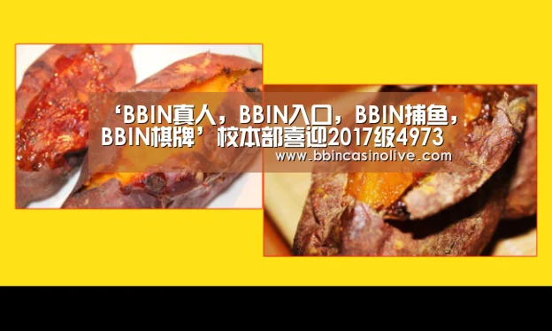 BBIN真人，BBIN入口，BBIN捕鱼，BBIN棋牌