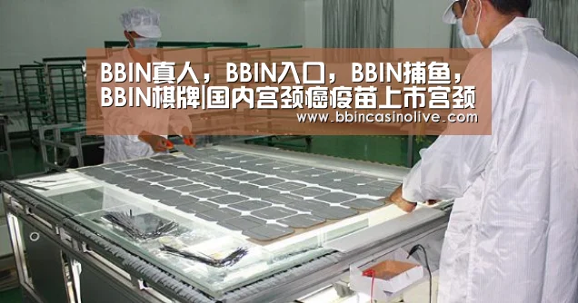 BBIN真人，BBIN入口，BBIN捕鱼，BBIN棋牌