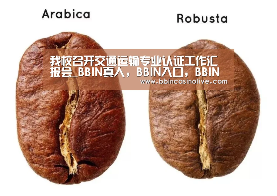 BBIN真人，BBIN入口，BBIN捕鱼，BBIN棋牌