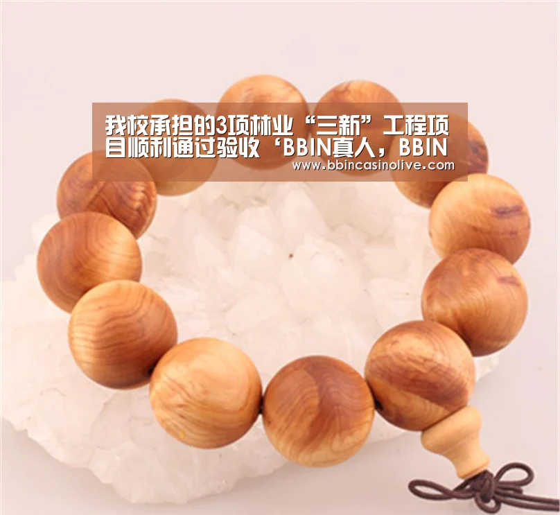 BBIN真人，BBIN入口，BBIN捕鱼，BBIN棋牌