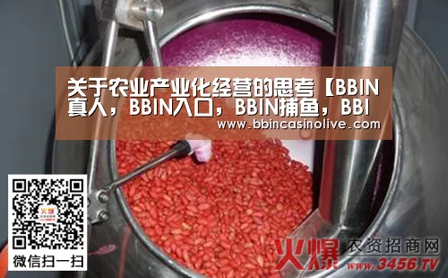 BBIN真人，BBIN入口，BBIN捕鱼，BBIN棋牌