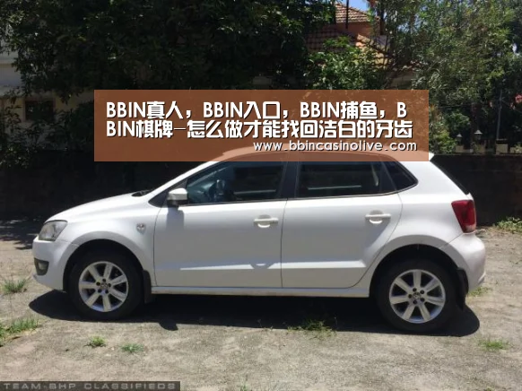 BBIN真人，BBIN入口，BBIN捕鱼，BBIN棋牌