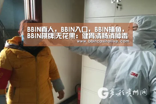 BBIN真人，BBIN入口，BBIN捕鱼，BBIN棋牌