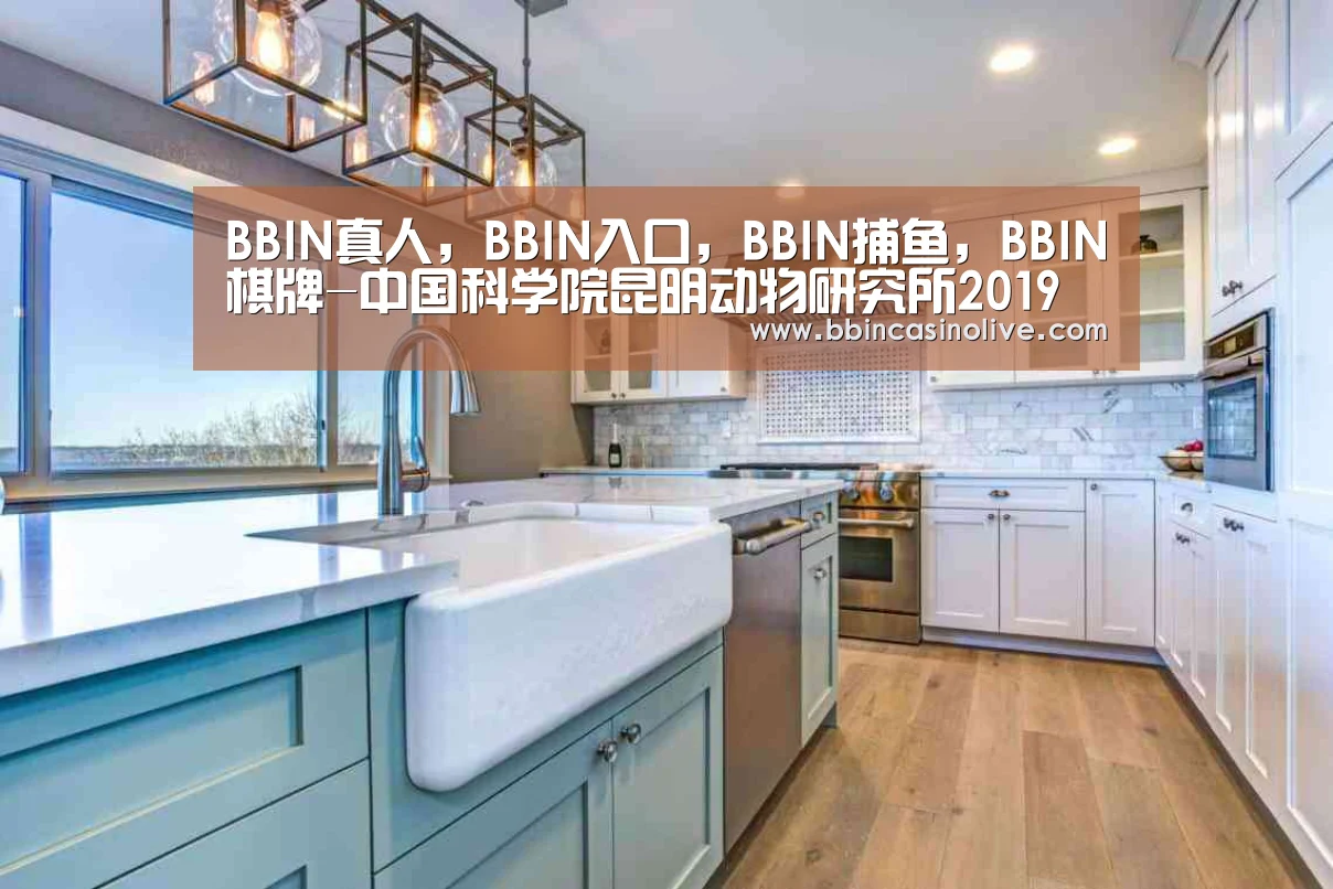 BBIN真人，BBIN入口，BBIN捕鱼，BBIN棋牌