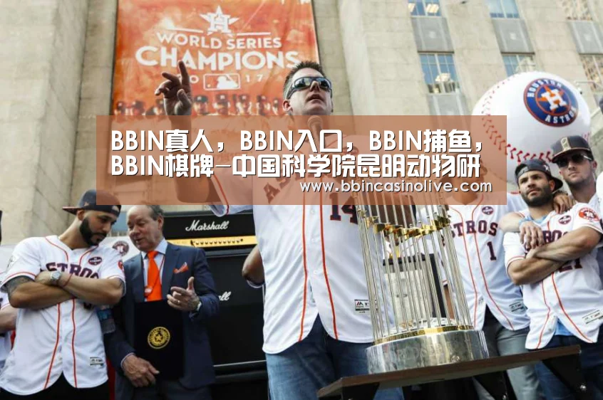 BBIN真人，BBIN入口，BBIN捕鱼，BBIN棋牌