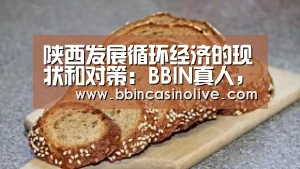BBIN真人，BBIN入口，BBIN捕鱼，BBIN棋牌