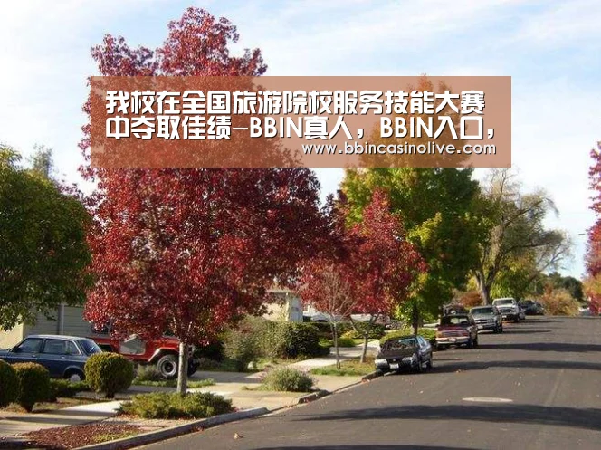 我校在全国旅游院校服务技能大赛中夺取佳绩-BBIN真人,BBIN入口,BBIN捕鱼,BBIN棋牌(图3) BBIN真人,BBIN入口,BBIN捕鱼,BBIN棋牌