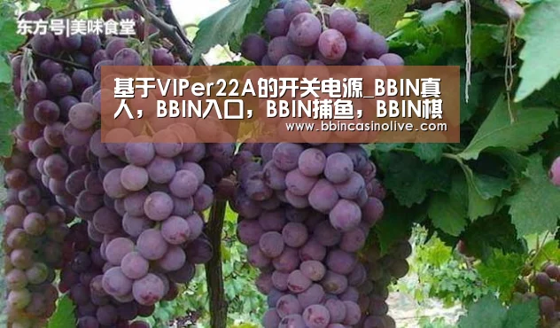 BBIN真人，BBIN入口，BBIN捕鱼，BBIN棋牌