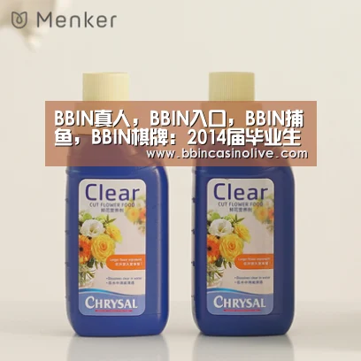 BBIN真人，BBIN入口，BBIN捕鱼，BBIN棋牌